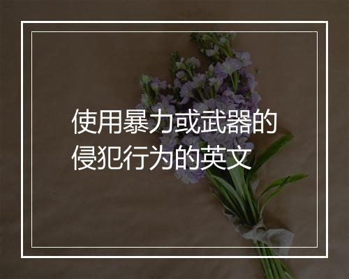 使用暴力或武器的侵犯行为的英文