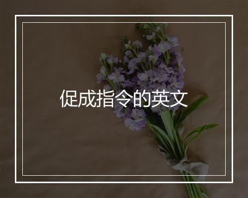 促成指令的英文