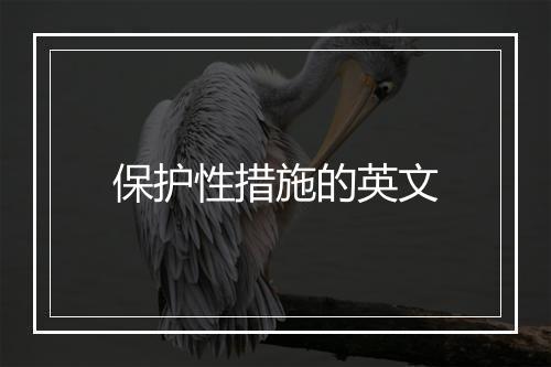 保护性措施的英文