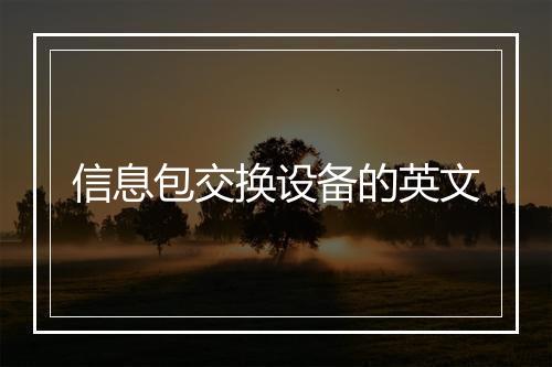 信息包交换设备的英文