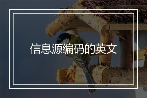 信息源编码的英文