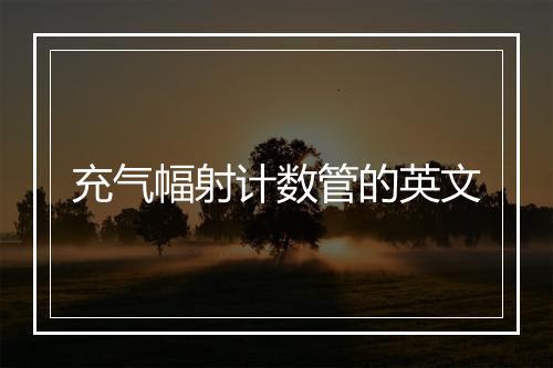 充气幅射计数管的英文