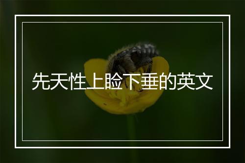 先天性上睑下垂的英文