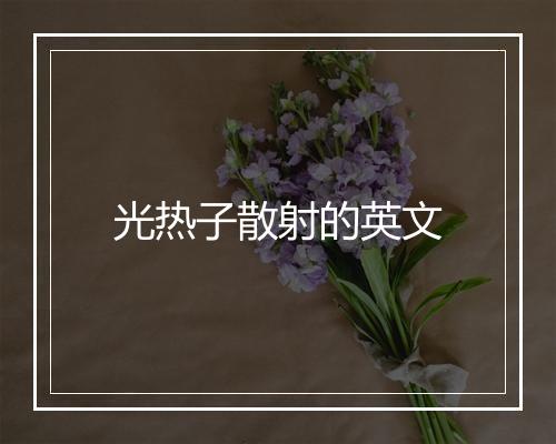 光热子散射的英文