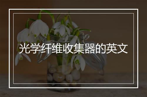 光学纤维收集器的英文