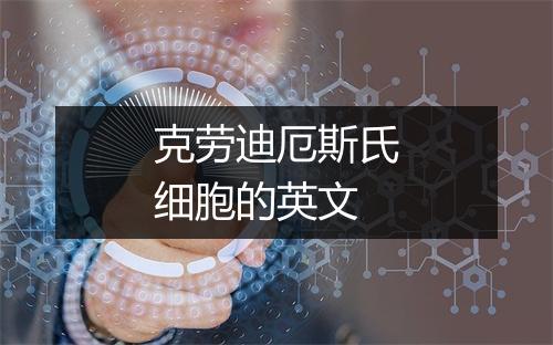 克劳迪厄斯氏细胞的英文