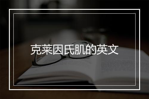 克莱因氏肌的英文