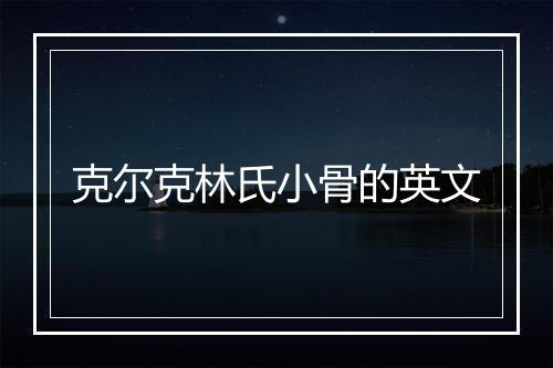 克尔克林氏小骨的英文