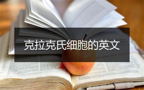 克拉克氏细胞的英文