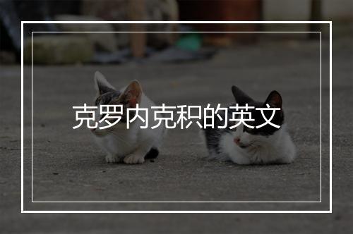 克罗内克积的英文