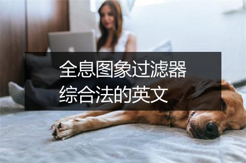 全息图象过滤器综合法的英文