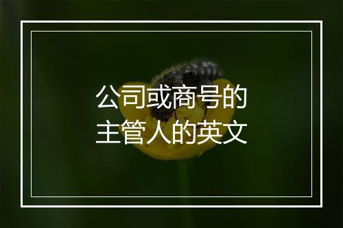 公司或商号的主管人的英文