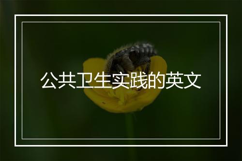 公共卫生实践的英文