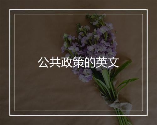 公共政策的英文