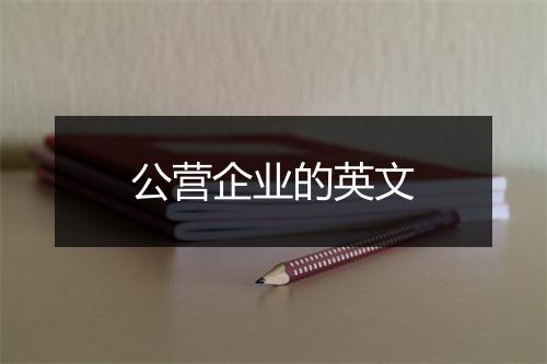 公营企业的英文