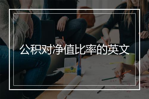 公积对净值比率的英文