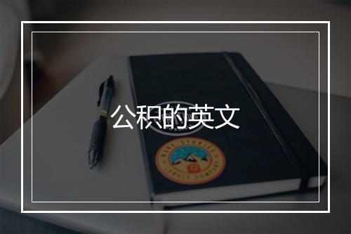 公积的英文