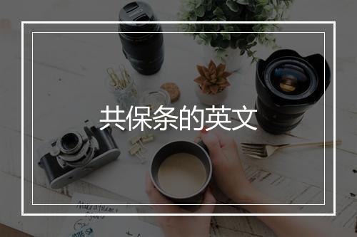 共保条的英文