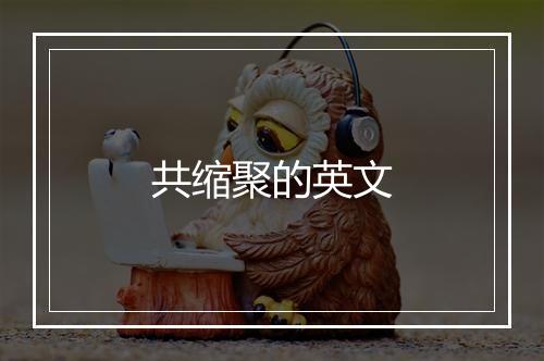 共缩聚的英文