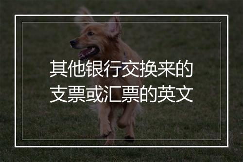 其他银行交换来的支票或汇票的英文