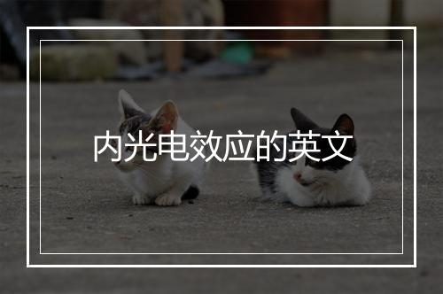 内光电效应的英文