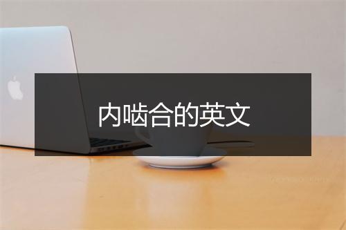 内啮合的英文