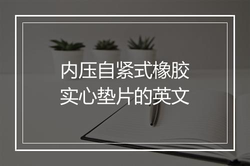 内压自紧式橡胶实心垫片的英文