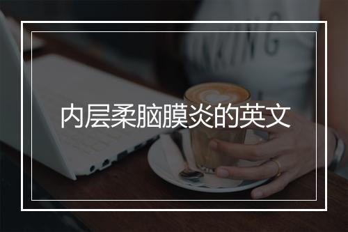 内层柔脑膜炎的英文