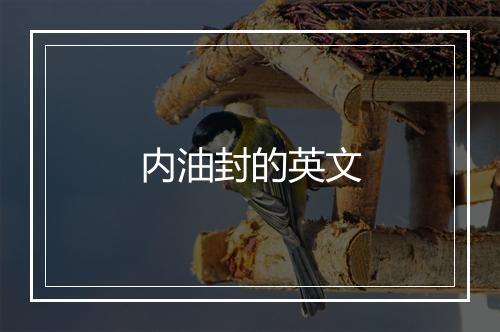 内油封的英文