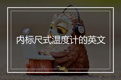 内标尺式温度计的英文