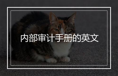 内部审计手册的英文