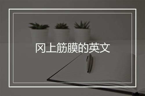 冈上筋膜的英文