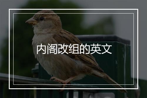 内阁改组的英文