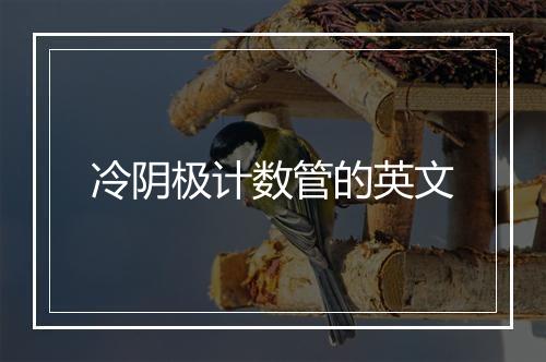 冷阴极计数管的英文