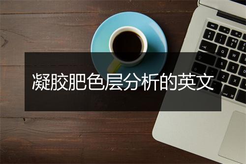 凝胶肥色层分析的英文