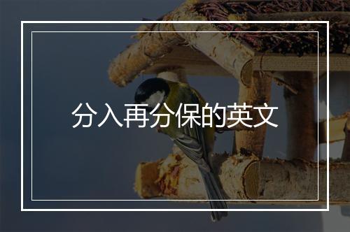 分入再分保的英文