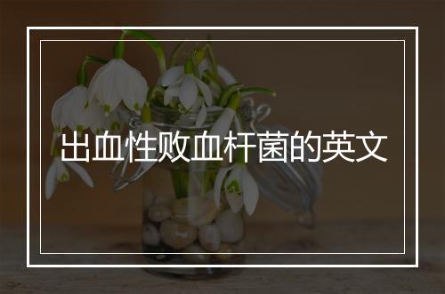 出血性败血杆菌的英文