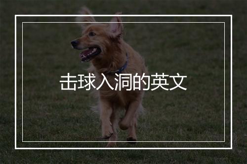 击球入洞的英文