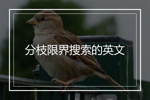 分枝限界搜索的英文