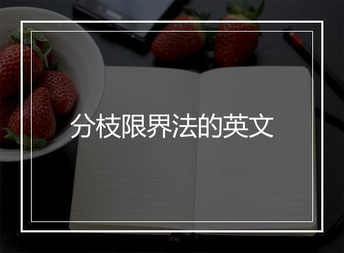 分枝限界法的英文