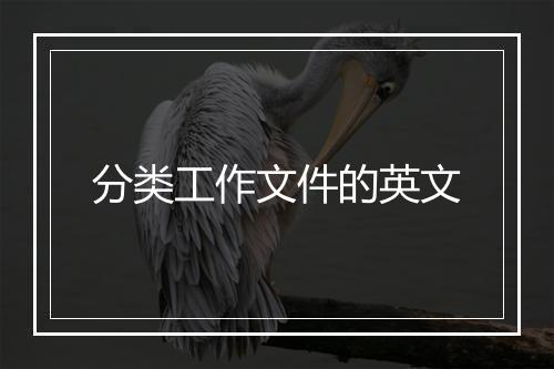 分类工作文件的英文