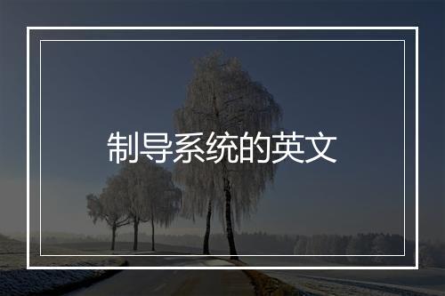 制导系统的英文