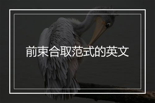 前束合取范式的英文