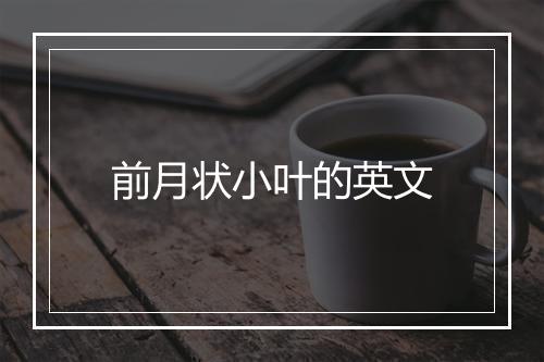 前月状小叶的英文