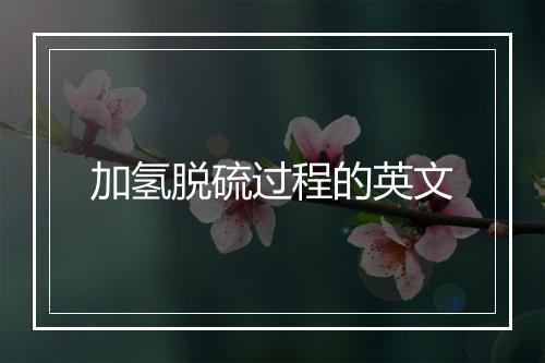 加氢脱硫过程的英文