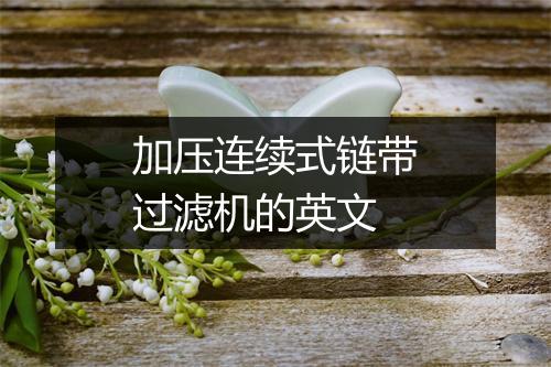 加压连续式链带过滤机的英文