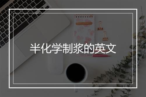 半化学制浆的英文