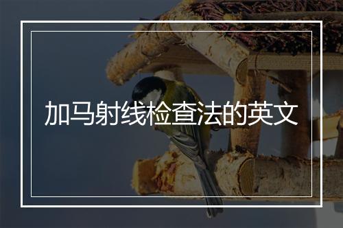 加马射线检查法的英文