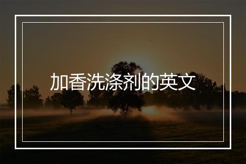 加香洗涤剂的英文