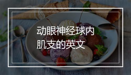 动眼神经球内肌支的英文